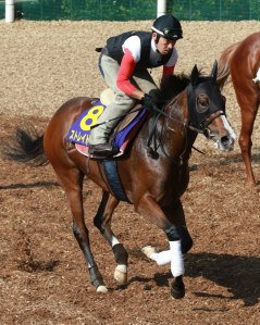 20150929_Straight_Girl