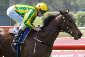 20151003_Kia_Ora_Koutou