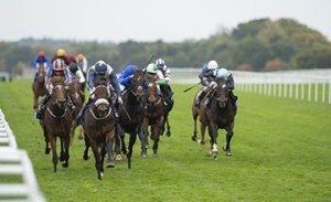 迷人島前戰大有進步，連冠軍錦標也能勝出，今年打理得不錯。 Source:  Edward Whitaker/racingpost.com