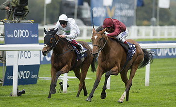 20151017_Simple_Verse