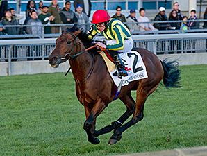 20151018_Cannock_Chase