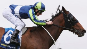 20151021_Extra_Choice