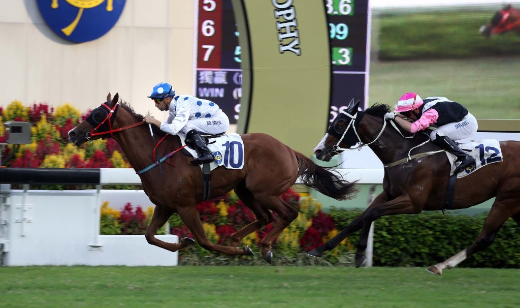 20151025_Contentment