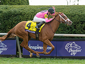 20151030_Catch_a_Glimpse