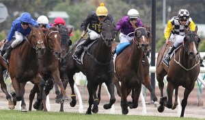 20151031_Excess_Knowledge