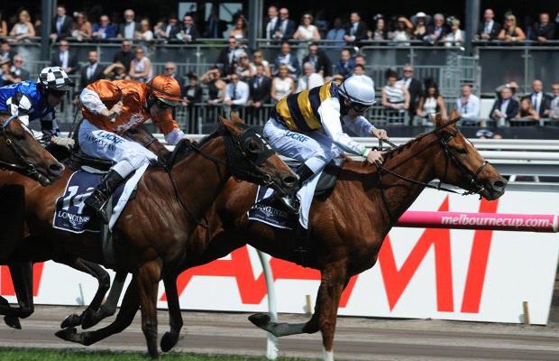 Source: racenet.com.au