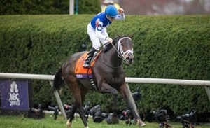 20151031_Tepin