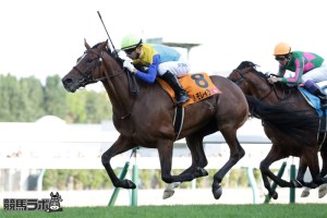 20150829_Jungle_Cruise