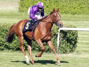 20150927_Nightflower