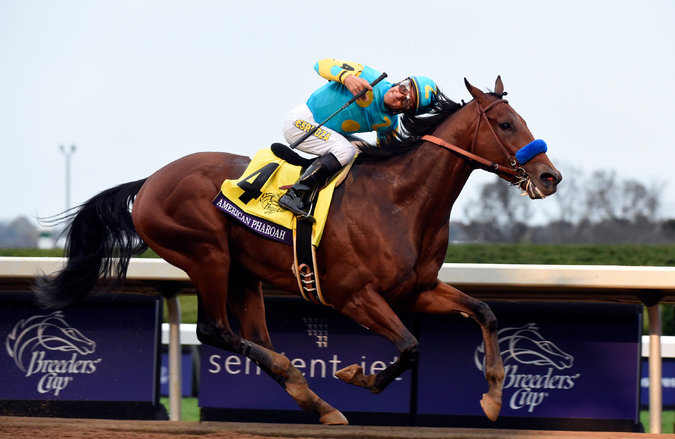 20151031_American_Pharoah