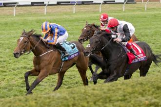 「金號角」未能替一眾凱旋門大賽冠軍在美國賽場上雪恥，不要忘記強如「勇舞」（Dancing Brave）也在此敗陣。 Source: Debra A. Roma/Daily Racing Form