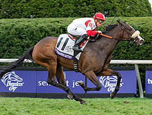 20151031Stephanies_Kitten