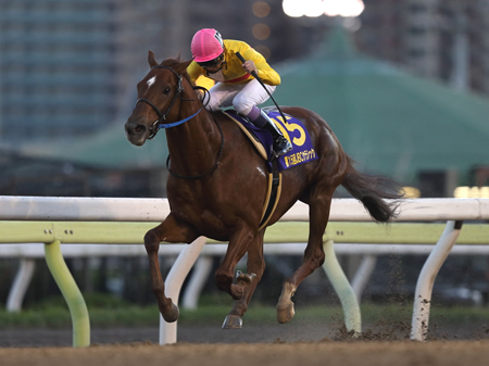 20151103_Copano_Rickey