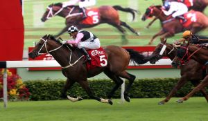 20151121_Beauty_Flame