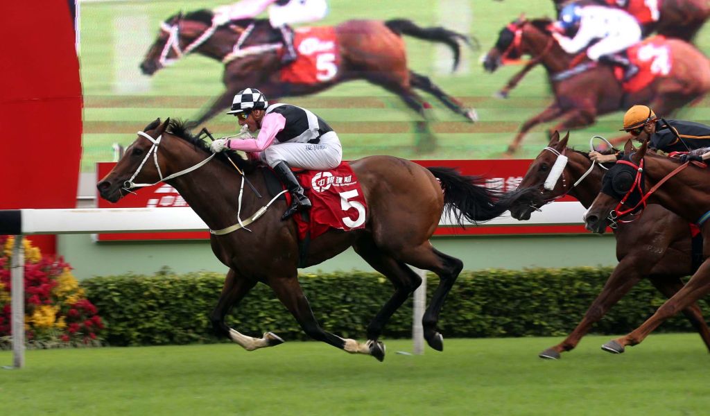 20151121_Beauty_Flame