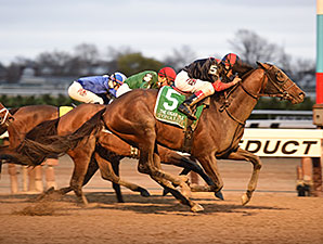 20151128_Tonalist