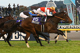 20151129_Shonan_Pandora