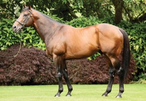 Fastnet-Rock-conformation-resized2