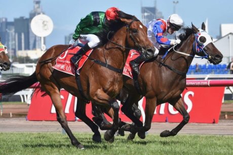 Source: Getty Images