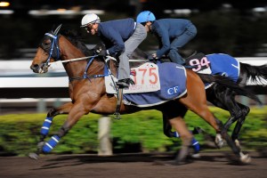 20151208_Military_Attack