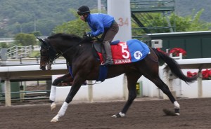 20151208_Satono_Aladdin