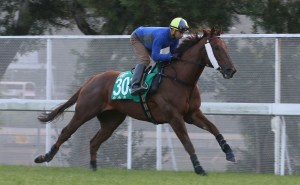 20151210_Able_Friend