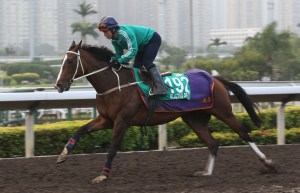 20151210_Blazing_Speed