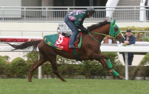 20151210_Nuovo_Record