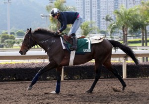 20151211_Flintshire