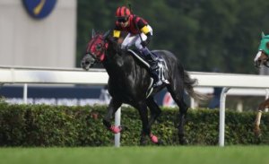 20151213_A_Shin_Hikari