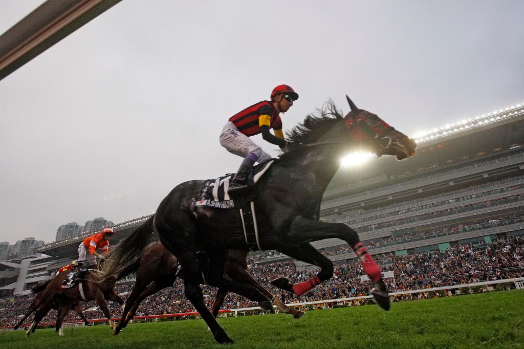 今場賽事完全由「榮進之光」控制了整場大局 Source: HKJC