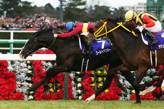 國際賽馬雙週報（2018年10月1日至14日）新聞篇