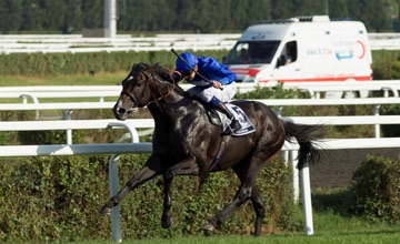 Source: Godolphin.com