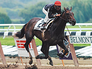 20021026_Storm_Flag_Flying