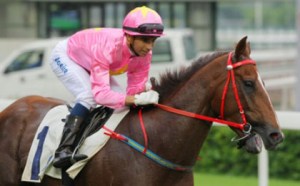 20150516_Sun_Jewellery