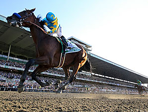 20150606_American_Pharoah_4
