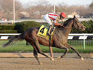 20160102_Flexibility