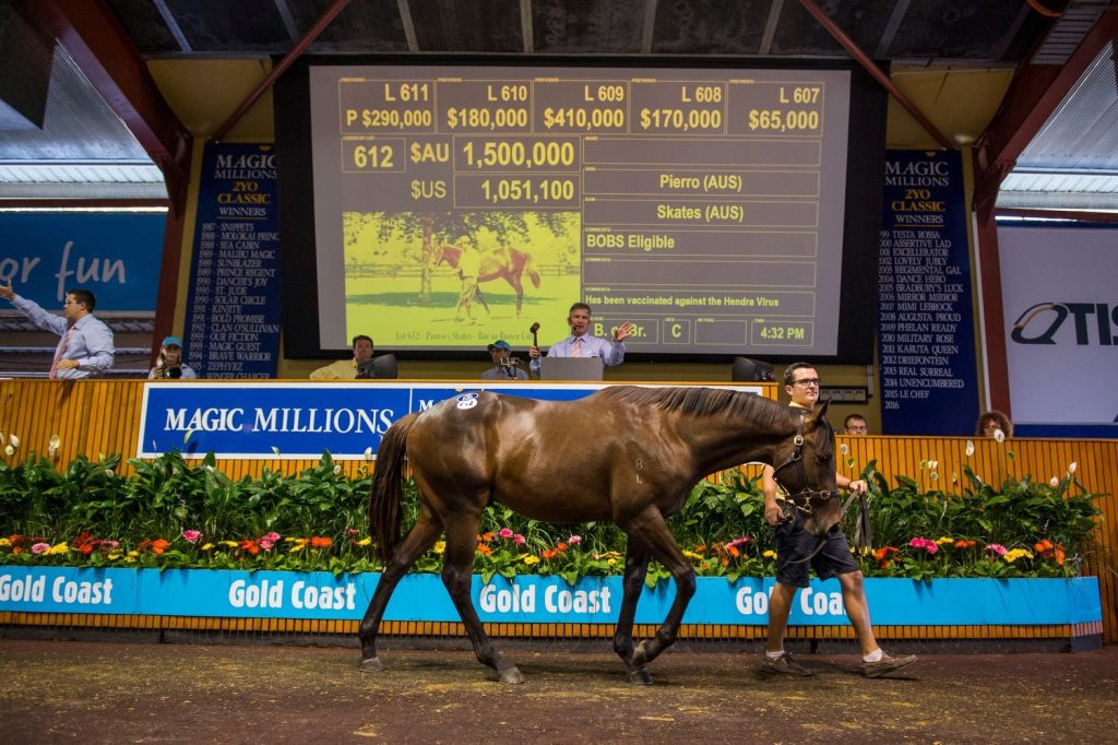 20160108_Skates_2014