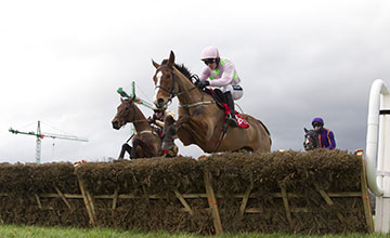 20160124_Faugheen