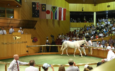 20160125_The_Opera_House_2014