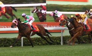 20160131_Aerovelocity