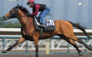 20160127_Helene_Paragon