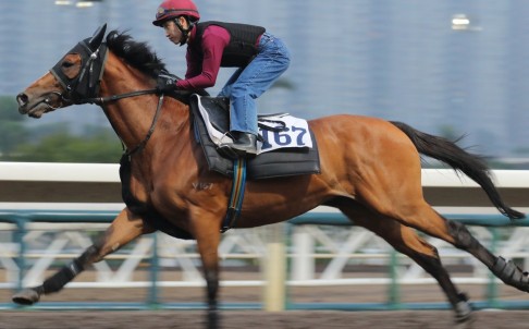 20160127_Helene_Paragon