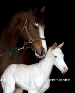 20160127_Princesspatseattle2016