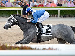 20160130_Mohaymen
