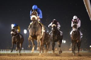 20160204_Confrontation