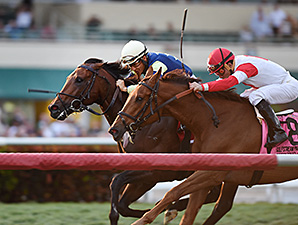 20160206_Lukes_Alley