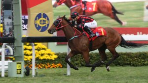 20160210_Thewizardofoz