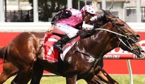 20160213_Flying_Artie