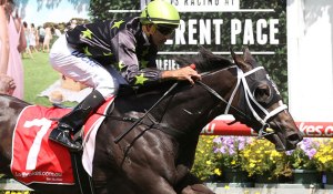 20160213_Samara_Dancer